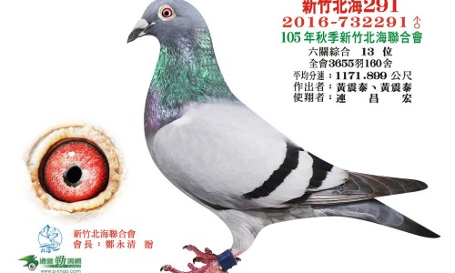 贵州的吃法网 - 贵州都吃啥家常菜,贵州吃的特色是什么
