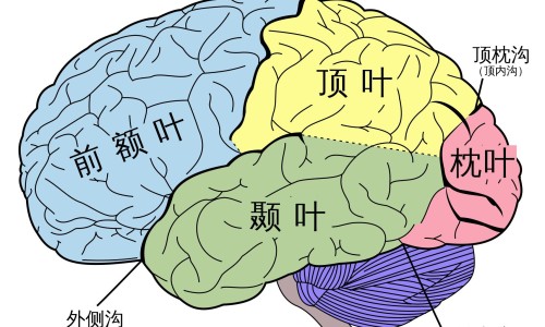 贵州美食做法-贵州的吃法网 - 贵州都吃啥家常菜,贵州吃的特色是什么